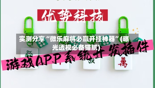 实测分享“微乐麻将必赢开挂神器”(曝光透视必备猫腻)-第3张图片