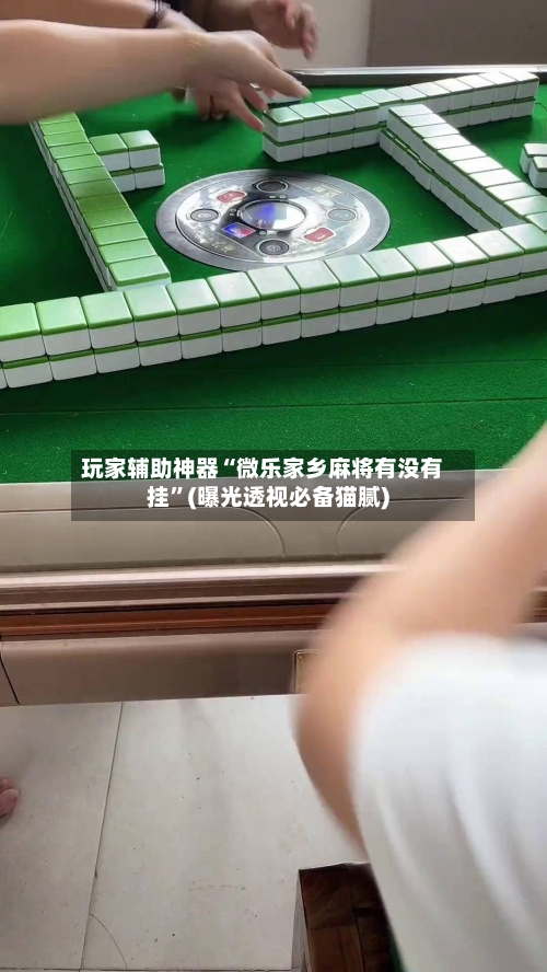 玩家辅助神器“微乐家乡麻将有没有挂	”(曝光透视必备猫腻)-第2张图片