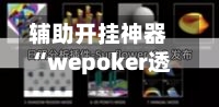辅助开挂神器“wepoker透视挂付款保证金	”详细分享装挂步骤教程-第2张图片