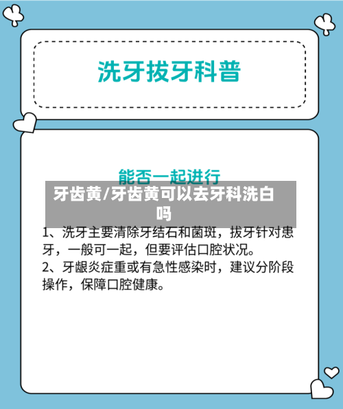 牙齿黄/牙齿黄可以去牙科洗白吗-第1张图片