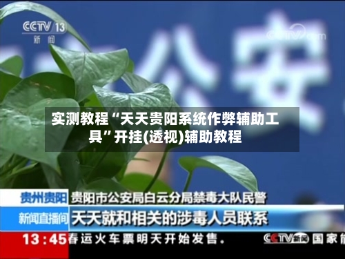 实测教程“天天贵阳系统作弊辅助工具”开挂(透视)辅助教程-第2张图片