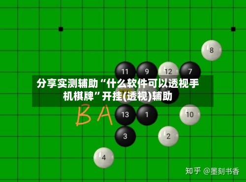 分享实测辅助“什么软件可以透视手机棋牌	”开挂(透视)辅助-第2张图片