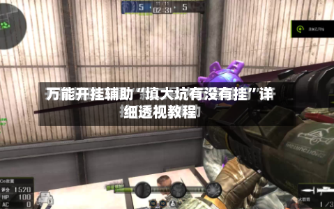 万能开挂辅助“填大坑有没有挂	”详细透视教程-第2张图片