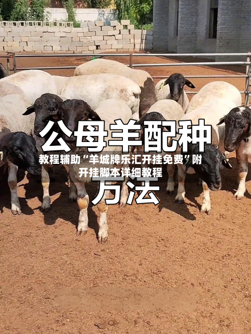 教程辅助“羊城牌乐汇开挂免费”附开挂脚本详细教程