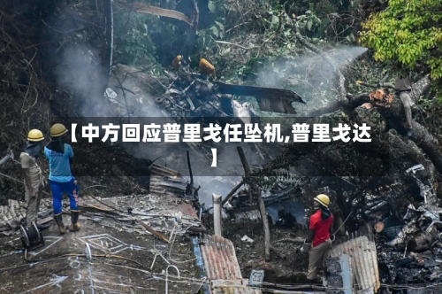 【中方回应普里戈任坠机,普里戈达】-第2张图片