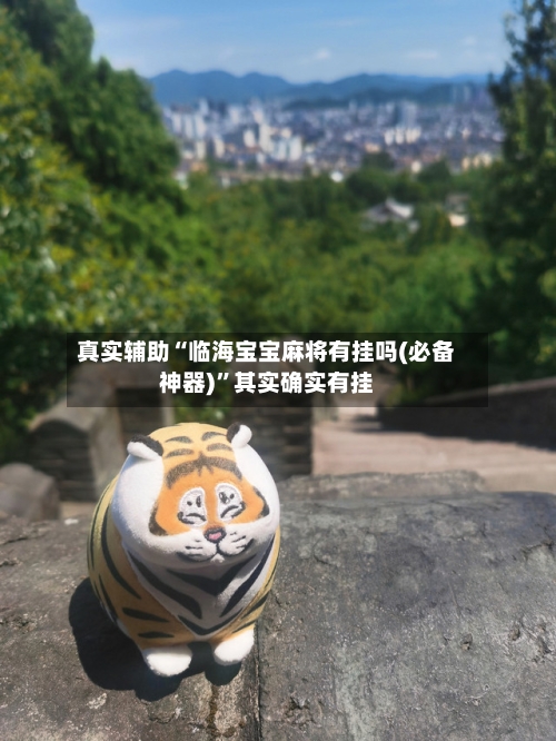 真实辅助“临海宝宝麻将有挂吗(必备神器)	”其实确实有挂-第2张图片