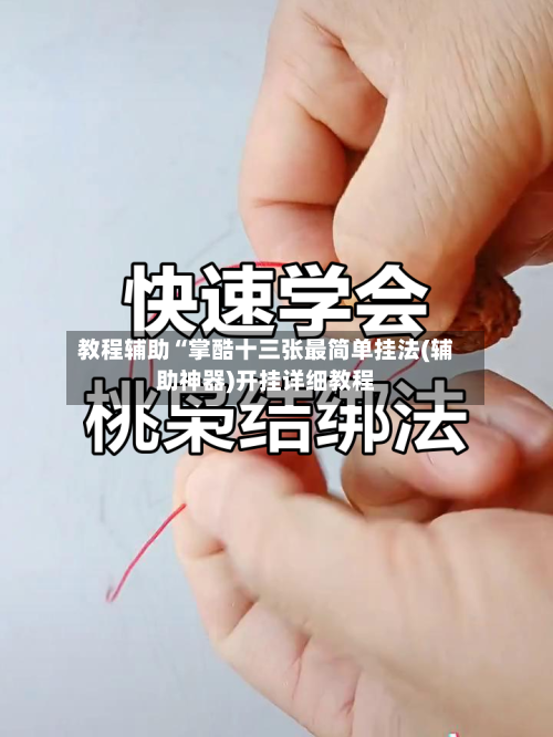 教程辅助“掌酷十三张最简单挂法(辅助神器)开挂详细教程-第3张图片