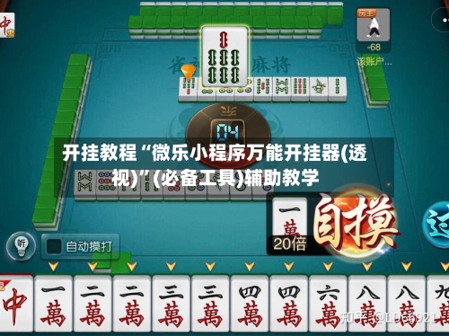 开挂教程“微乐小程序万能开挂器(透视)”(必备工具)辅助教学-第3张图片