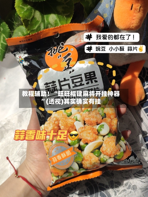 教程辅助！“旺旺福建麻将开挂神器”(透视)其实确实有挂-第2张图片