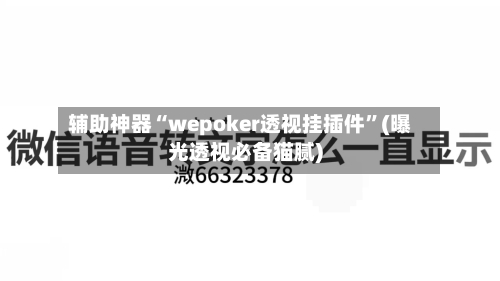 辅助神器“wepoker透视挂插件”(曝光透视必备猫腻)-第2张图片