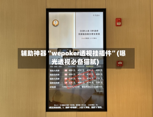 辅助神器“wepoker透视挂插件”(曝光透视必备猫腻)-第3张图片