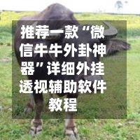 推荐一款“微信牛牛外卦神器	”详细外挂透视辅助软件教程-第2张图片