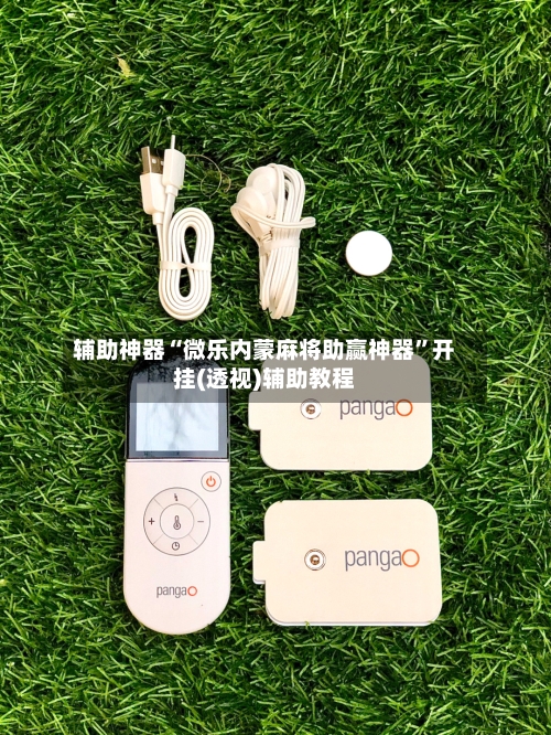 辅助神器“微乐内蒙麻将助赢神器”开挂(透视)辅助教程-第3张图片