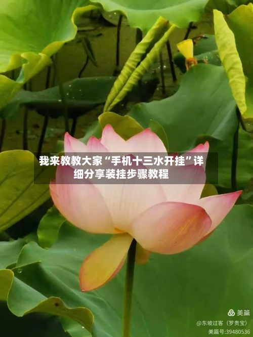 我来教教大家“手机十三水开挂”详细分享装挂步骤教程-第3张图片