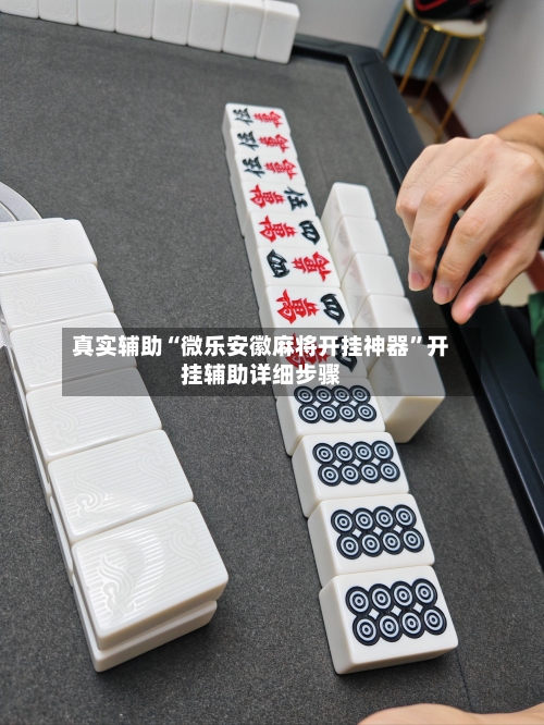 真实辅助“微乐安徽麻将开挂神器”开挂辅助详细步骤-第3张图片
