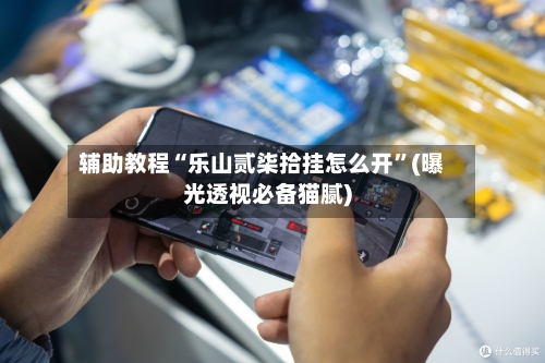 辅助教程“乐山贰柒拾挂怎么开”(曝光透视必备猫腻)