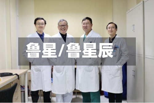 鲁星/鲁星辰-第2张图片