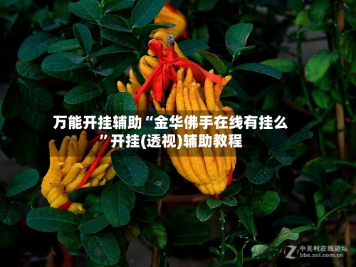 万能开挂辅助“金华佛手在线有挂么”开挂(透视)辅助教程-第2张图片