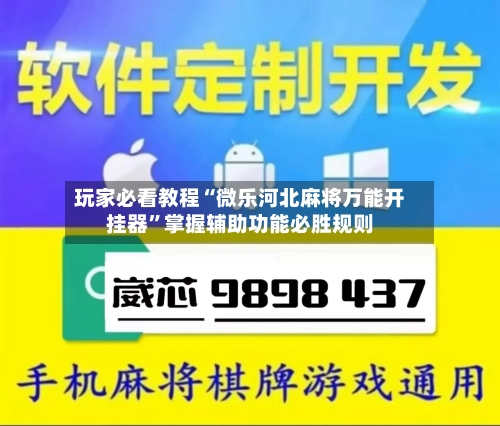玩家必看教程“微乐河北麻将万能开挂器	”掌握辅助功能必胜规则-第2张图片
