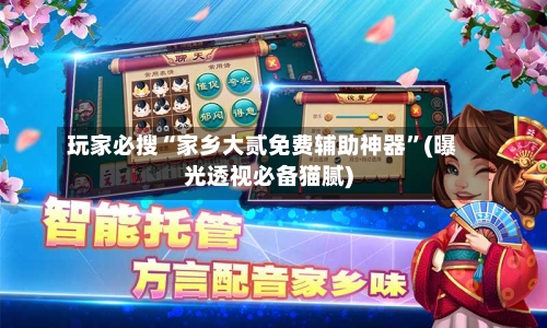 玩家必搜“家乡大贰免费辅助神器”(曝光透视必备猫腻)