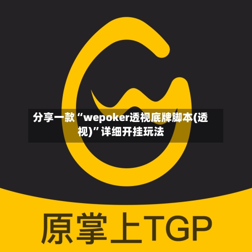 分享一款“wepoker透视底牌脚本(透视)	”详细开挂玩法-第3张图片