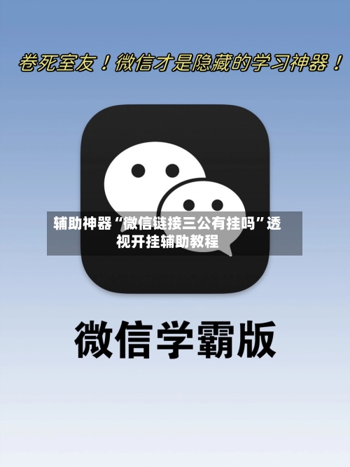 辅助神器“微信链接三公有挂吗”透视开挂辅助教程-第2张图片