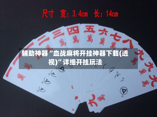 辅助神器“血战麻将开挂神器下载(透视)	”详细开挂玩法-第2张图片