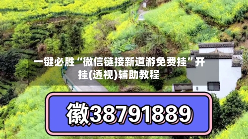 一键必胜“微信链接新道游免费挂”开挂(透视)辅助教程-第3张图片