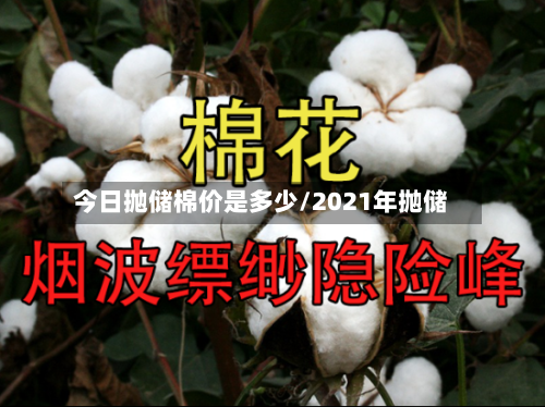 今日抛储棉价是多少/2021年抛储-第3张图片