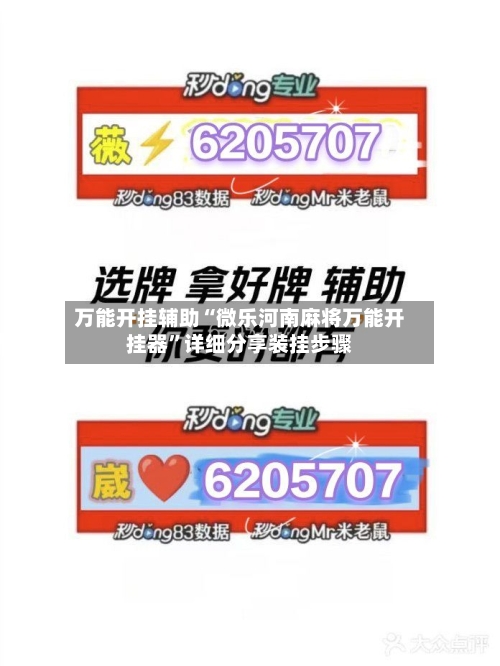 万能开挂辅助“微乐河南麻将万能开挂器”详细分享装挂步骤-第3张图片