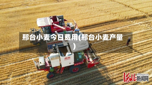 邢台小麦今日费用(邢台小麦产量)