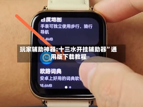 玩家辅助神器:十三水开挂辅助器	”通用版下载教程-第2张图片