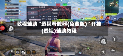 教程辅助“透视看牌器(免费版)	”开挂(透视)辅助教程-第2张图片