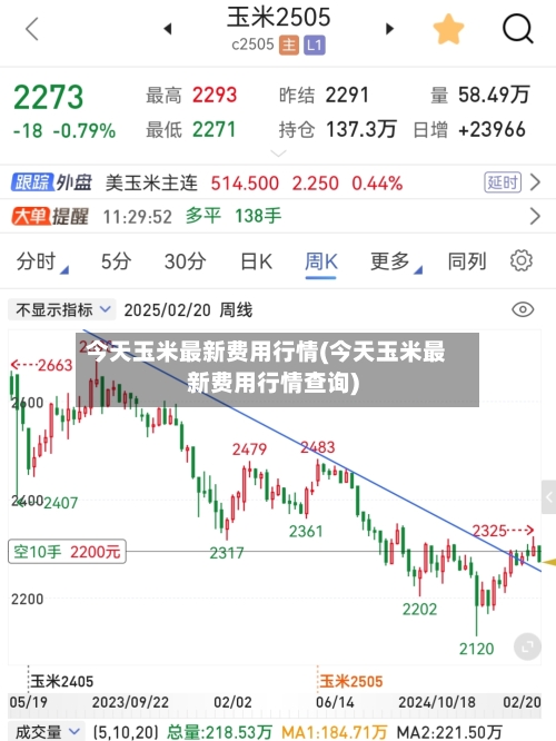 今天玉米最新费用行情(今天玉米最新费用行情查询)
