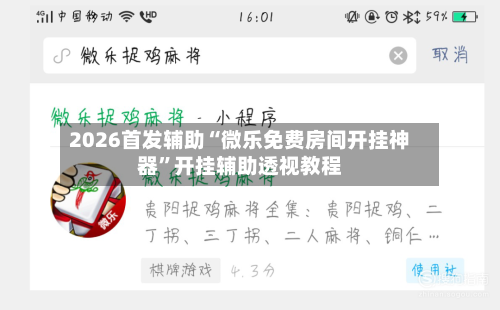 2026首发辅助“微乐免费房间开挂神器”开挂辅助透视教程-第2张图片