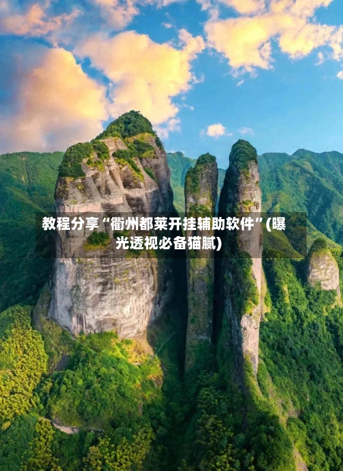 教程分享“衢州都莱开挂辅助软件”(曝光透视必备猫腻)-第2张图片