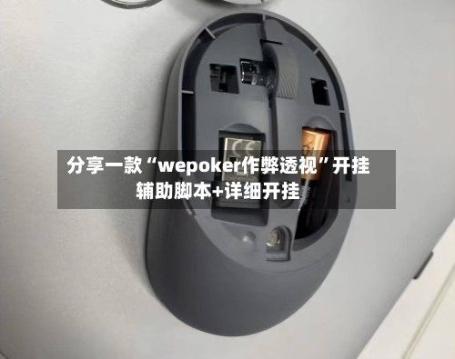 分享一款“wepoker作弊透视”开挂辅助脚本+详细开挂-第2张图片