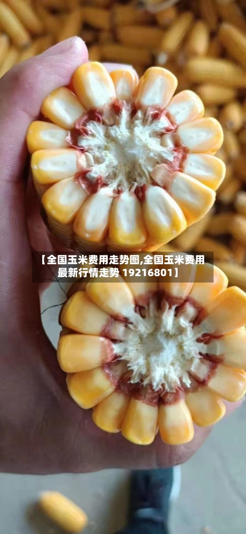 【全国玉米费用走势图,全国玉米费用最新行情走势 19216801】