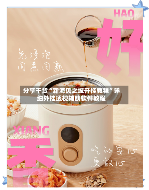 分享干货“新海贝之城开挂教程”详细外挂透视辅助软件教程-第2张图片