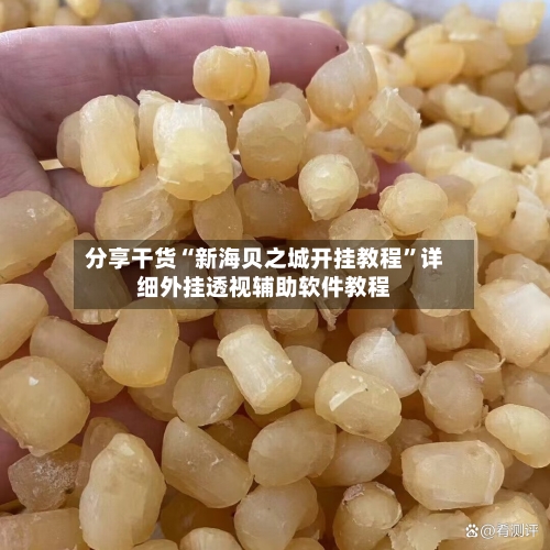 分享干货“新海贝之城开挂教程”详细外挂透视辅助软件教程