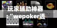 玩家辅助神器:“wepoker透视挂的优势”详细分享装挂-第3张图片