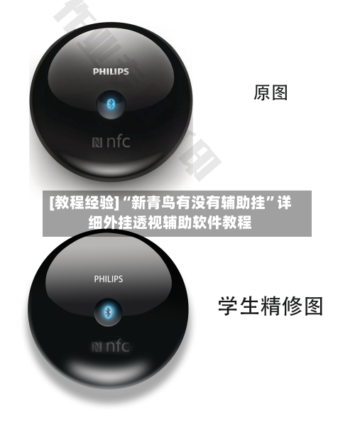 [教程经验]“新青鸟有没有辅助挂	”详细外挂透视辅助软件教程-第2张图片