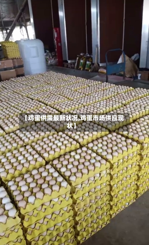 【鸡蛋供需最新状况,鸡蛋市场供应现状】-第2张图片