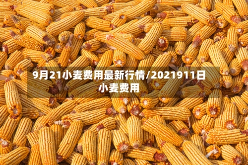 9月21小麦费用最新行情/2021911日小麦费用