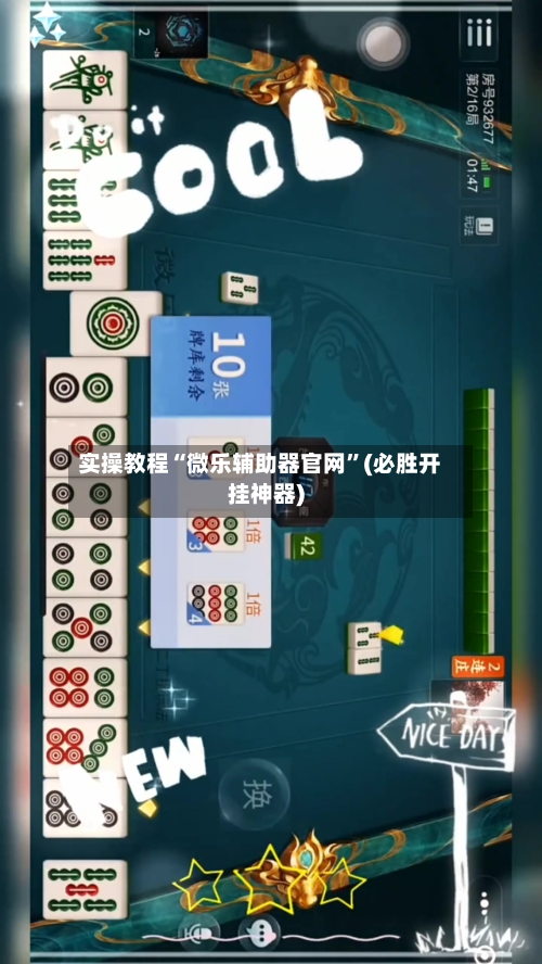 实操教程“微乐辅助器官网”(必胜开挂神器)-第2张图片