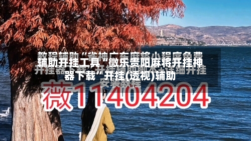 辅助开挂工具“微乐贵阳麻将开挂神器下载”开挂(透视)辅助