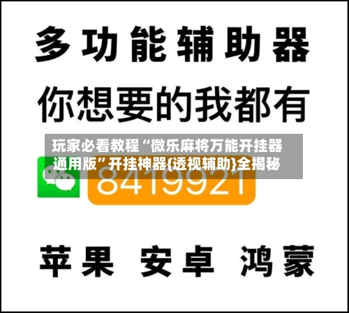 玩家必看教程“微乐麻将万能开挂器通用版	”开挂神器{透视辅助}全揭秘-第2张图片