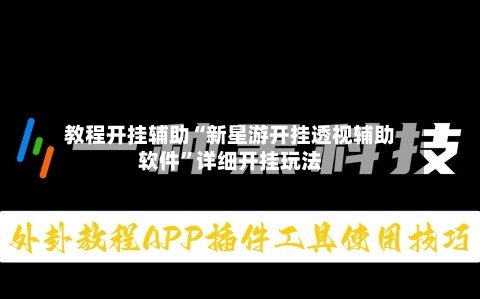 教程开挂辅助“新星游开挂透视辅助软件”详细开挂玩法-第3张图片