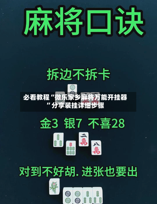 必看教程“微乐家乡麻将万能开挂器	”分享装挂详细步骤-第2张图片