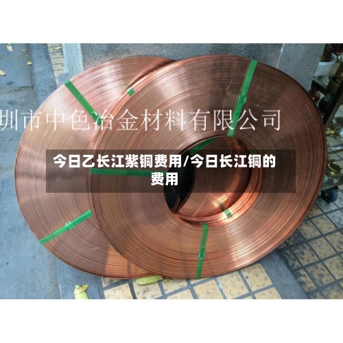 今日乙长江紫铜费用/今日长江铜的费用